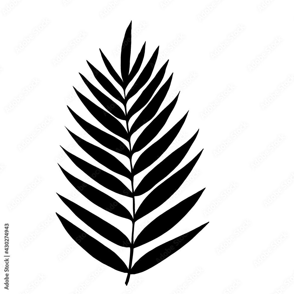 Fototapeta premium Leaves in black and white