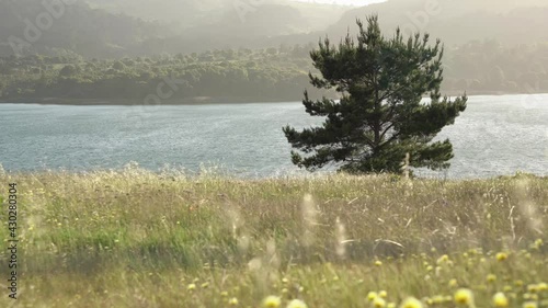 Lake in the mountains in a windy day