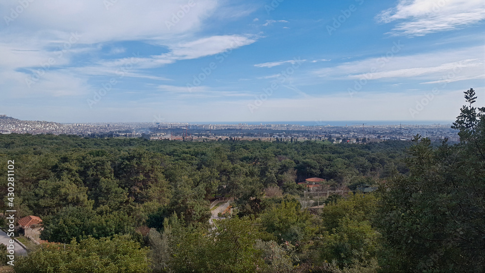 panoramic view of the forest and the city beyond