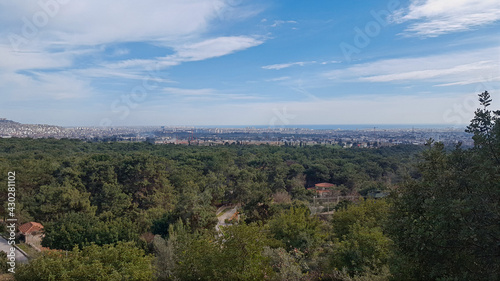 panoramic view of the forest and the city beyond