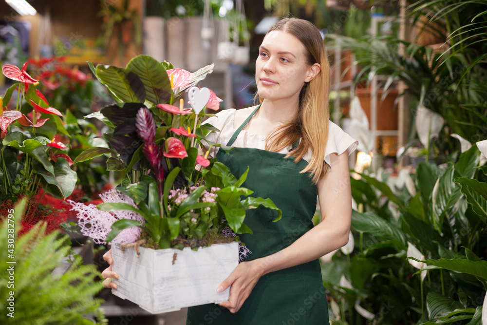 Female seller wearing an apron and happily standing among flowers in floral shop. High quality photo