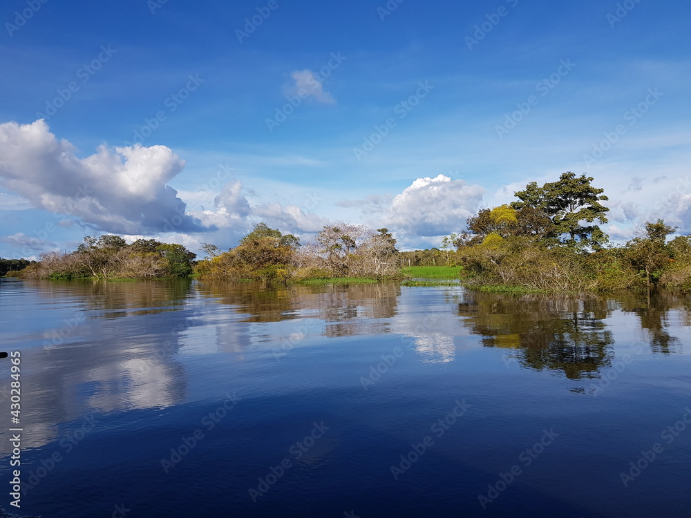 Nature impressions of a trip by boat from Mamori to Manaus over the