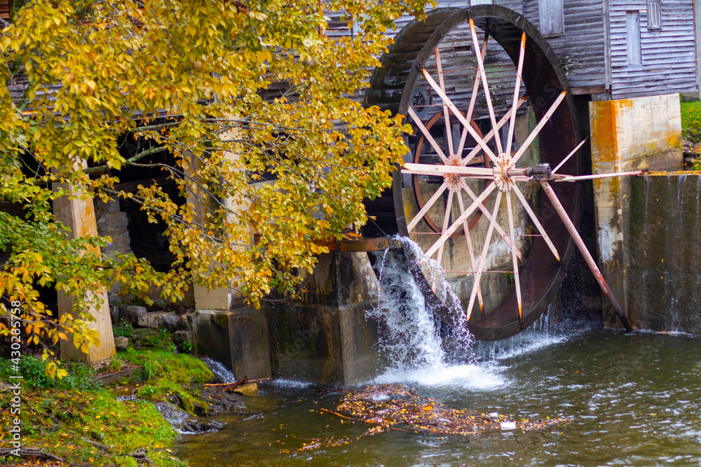 Fototapeta premium water wheel