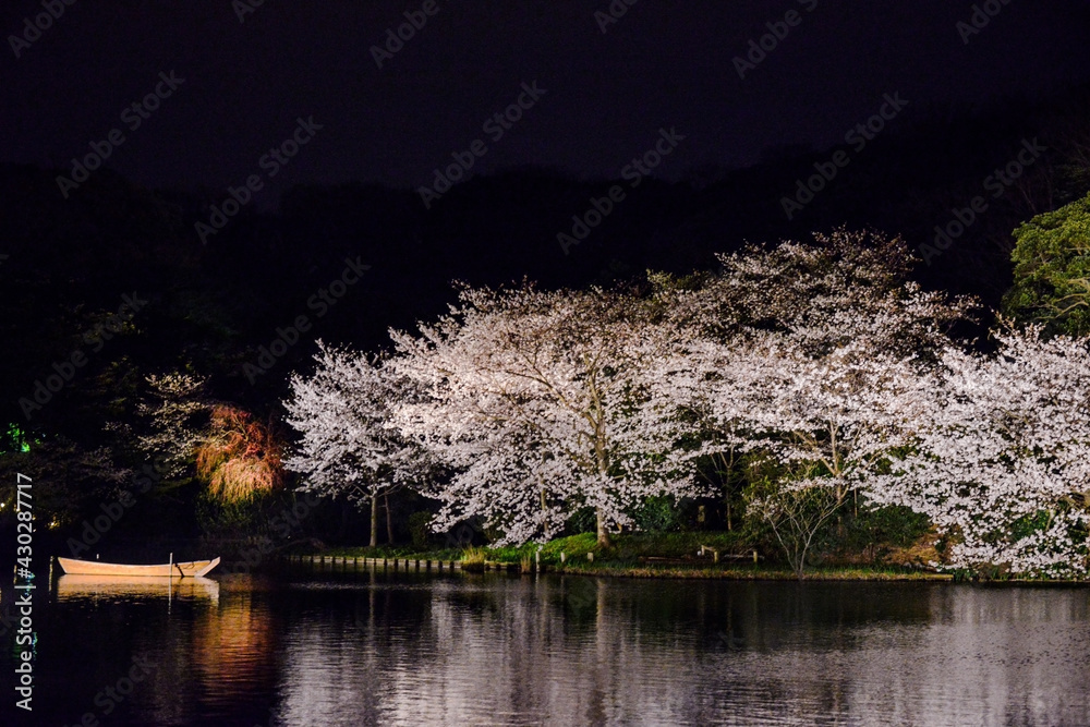 夜桜とボート 夜桜とボート