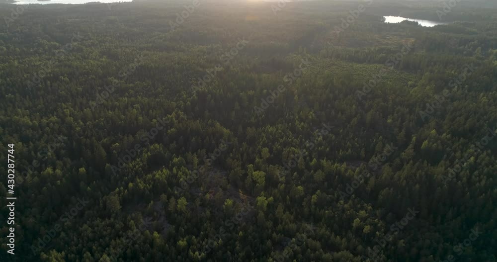 Aerial view of over Scandinavian summer evening forest - reverse, drone shot Aerial view of over Scandinavian summer evening forest - reverse, drone shot