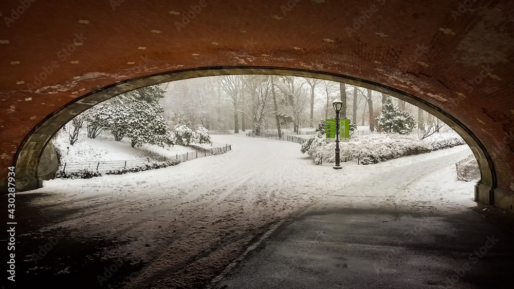 Invierno en Central Park