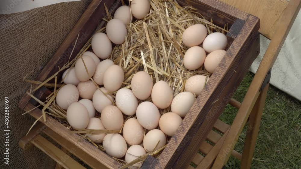 Organic homemade farm eggs are sold at the local open-air farmers ' market. Home Family Chicken Farm Business Organic homemade farm eggs are sold at the local open-air farmers ' market. Home Family Chicken Farm Business