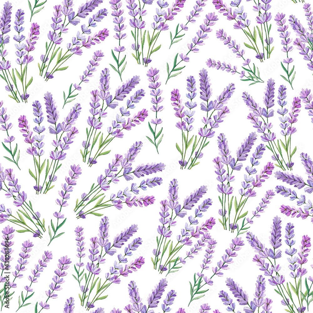 Watercolour pattern. Lavender on a white background Watercolour pattern. Lavender on a white background