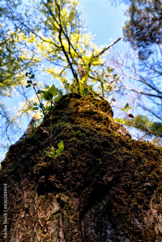 Magical places and hills of Tuscany  