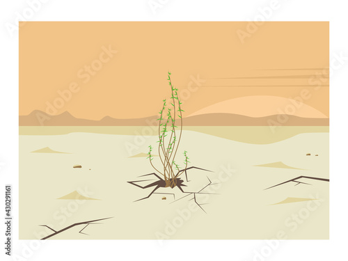 Drought in the desert. A green sprout grows out of the ground or sand. Plant, bush and dry, cracked soil, earth. Сoncept of a new life.Landscape with sunset or sunrise, the sun on the horizon. Vector