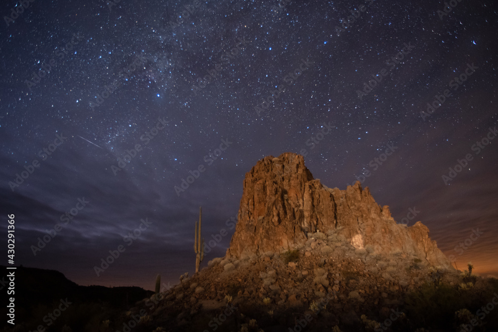 Sonoran Desert Under a Starry Sky