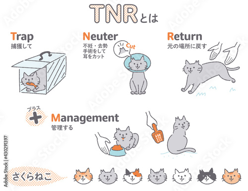 TNR活動　地域猫　イラストセット