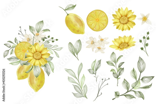 set of spring lemon flower and leaf isolated clip-art