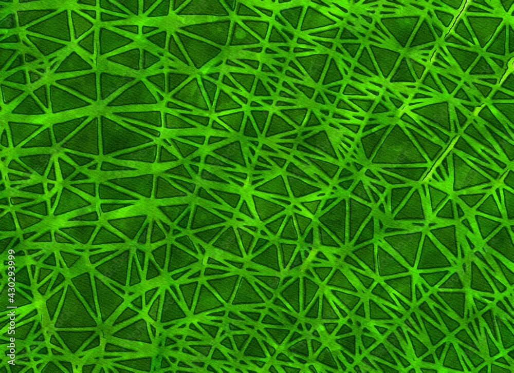 green color of abstract background green color of abstract background