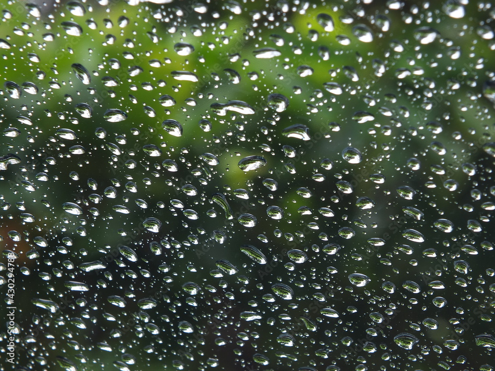 Round, clear rain droplets hitting the front windshield of the car with green leaves as the picture behind it.