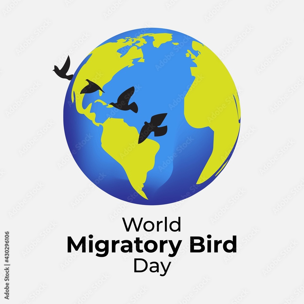 Vector illustration of World Migratory Bird Day, 8 May.