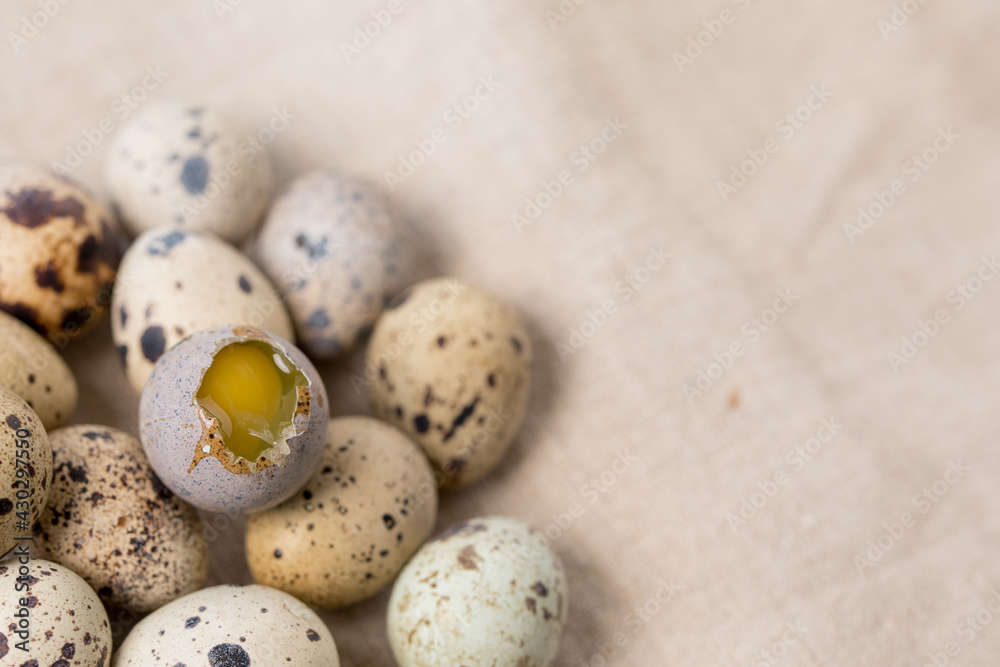 Still life. Quail eggs on a textile napkin. Rustic. Easter celebration concept. Still life. Quail eggs on a textile napkin. Rustic. Easter celebration concept.
