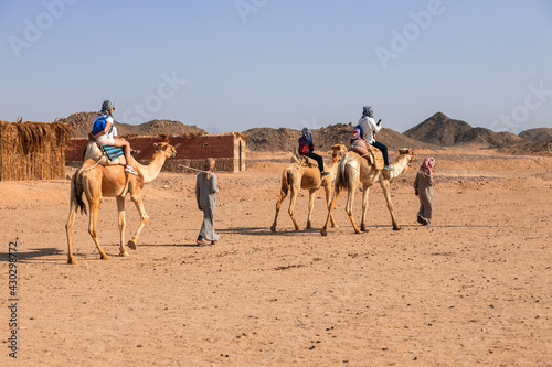 Three tourists on camels accompanied by two Bedouin in the Sahara Desert.