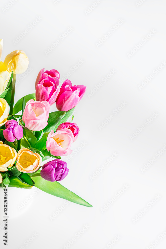 Beautiful yellow purple tulips on a light background. Fresh spring flowers. Copy space for text. Floral summer concept. Vertical photo. Beautiful yellow purple tulips on a light background. Fresh spring flowers. Copy space for text. Floral summer concept. Vertical photo.