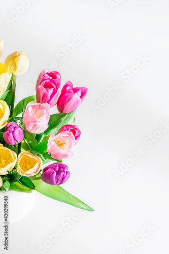 Fototapeta Naklejka Na Ścianę i Meble -  Beautiful yellow purple tulips on a light background. Fresh spring flowers. Copy space for text. Floral summer concept. Vertical photo.