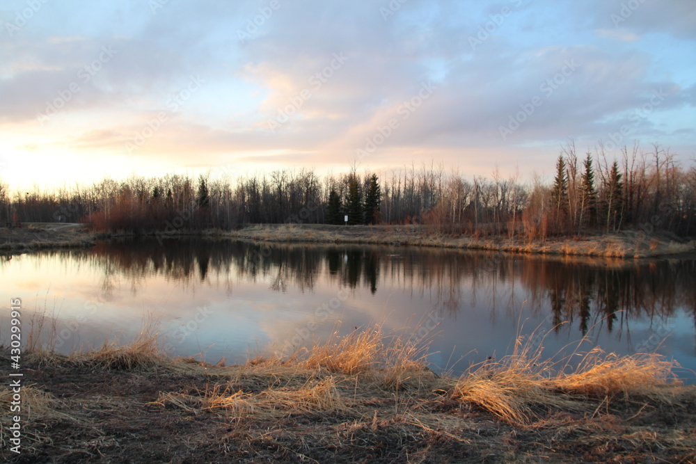 Pastel Colors On The Land, Pylypow Wetlands, Edmonton, Alberta