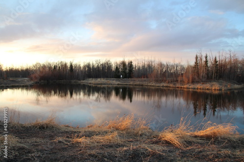 Pastel Colors On The Land  Pylypow Wetlands  Edmonton  Alberta