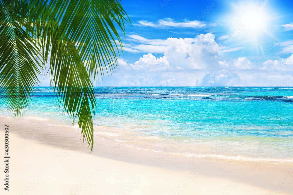 Tropical island landscape, exotic sand beach, turquoise sea water ocean waves, sun blue sky white clouds background, beautiful nature view, summer holidays, vacation, travel