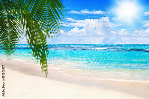 Tropical island landscape  exotic sand beach  turquoise sea water ocean waves  sun blue sky white clouds background  beautiful nature view  summer holidays  vacation  travel