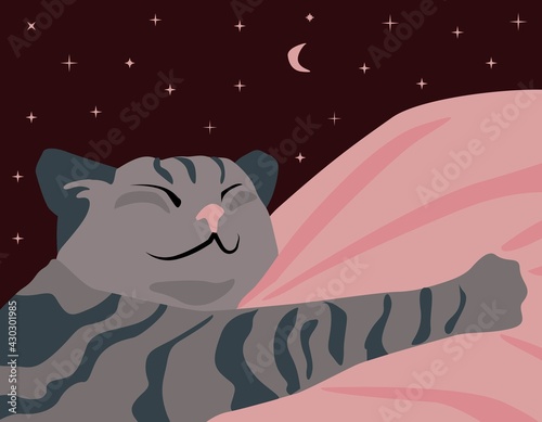 The cat sleeps sweetly. Starry sky