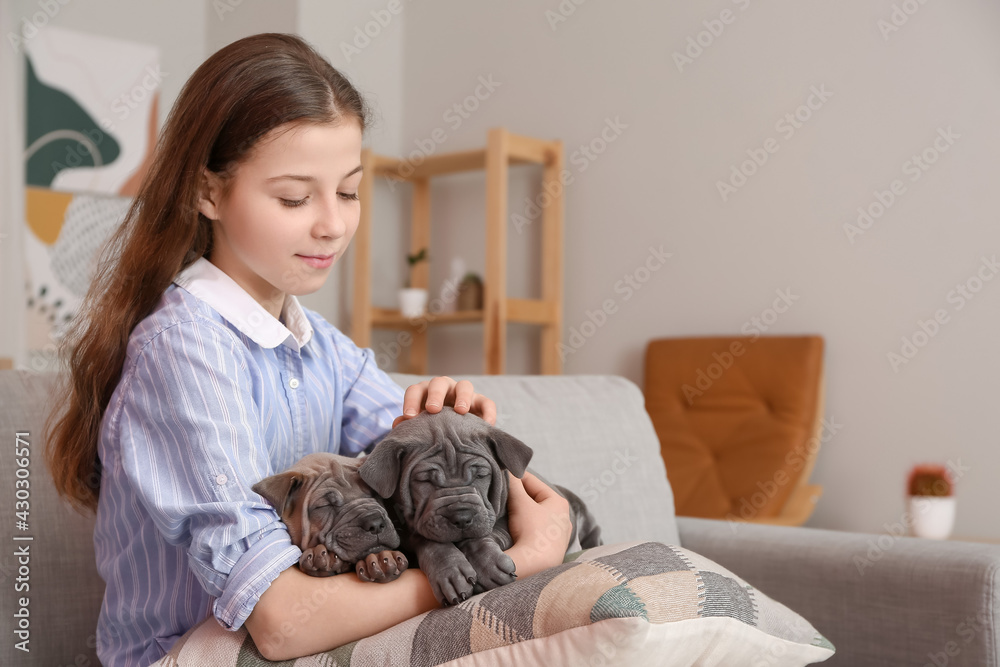 Cute girl with puppies at home Cute girl with puppies at home