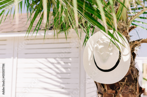 Havana hat on palm tree. Summer mood at the resort. Tropical island, vacation by the ocean. Copy space. 