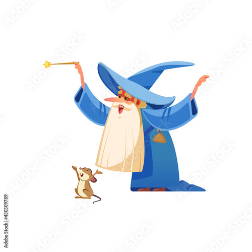 Cartoon wizard character. Old witch man in wizards robe, magician warlock and magic medieval sorcerer merlin, male witchcraft in hat and mantle Mystery isolated vector cartoon, flat illustration.