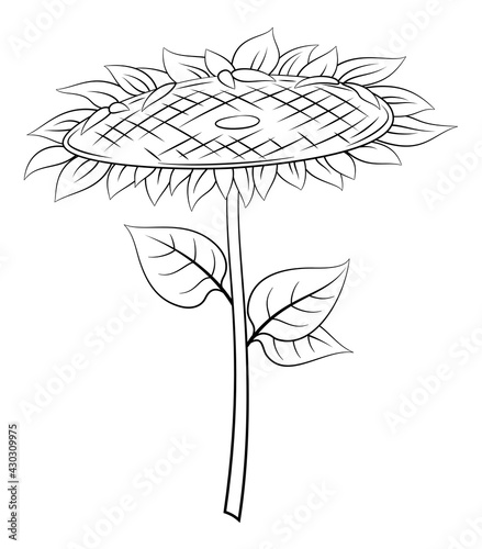 Sunflower with Leaves