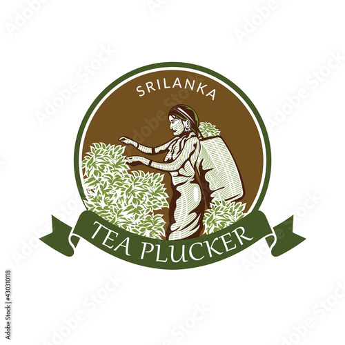 Tea plucker logo, good for tea business company logo