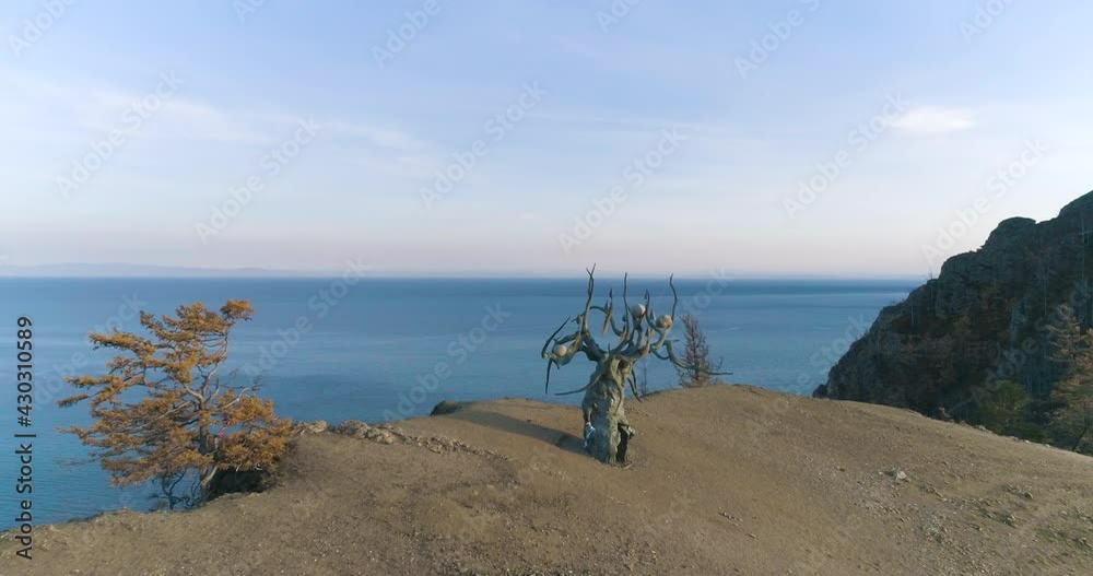 Baikal Keeper Tree on the Edge of the Cliff of Olkhon Island on Baikal. Sacred Place and Famous Tourist Attraction Beautiful landscape Blue Lake Drone footage Baikal Keeper Tree on the Edge of the Cliff of Olkhon Island on Baikal. Sacred Place and Famous Tourist Attraction Beautiful landscape Blue Lake Drone footage