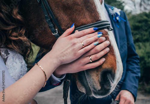 hands of brides with gold wedding rings close up on a background of a horse 