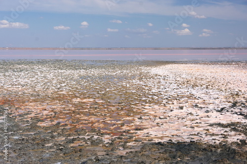 Sasyk-Sivash salt lake