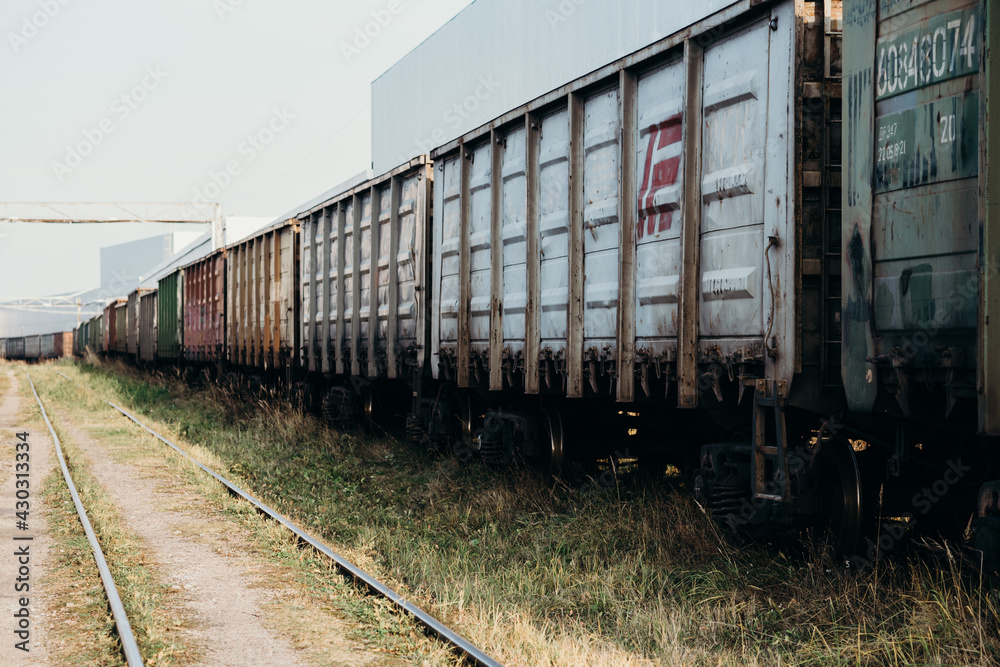 young woman girl hanging on the wagon of a freight freight train green. transportation, transportation, young woman girl hanging on the wagon of a freight freight train green. transportation, transportation,