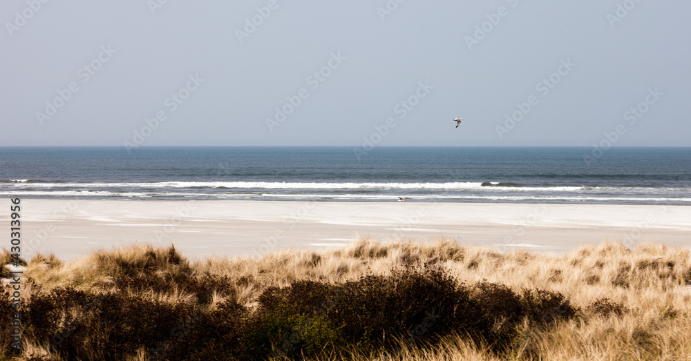 Island of Ameland (Friesland/Fryslan, The Netherlands): beach and dunes on North Sea side. Island of Ameland (Friesland/Fryslan, The Netherlands): beach and dunes on North Sea side.