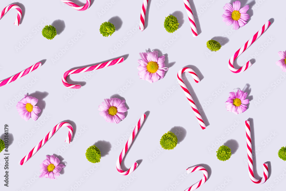 Pattern arrangment of red and white striped candy canes with lovely pink daisies and fresh green zinnia flower. Top view on a light gray background.