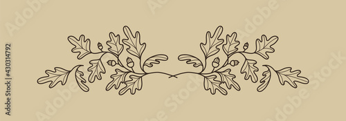 Decorative border element with oak leaves and acorns. Elegant botanical decoration for invitations, greetings, cards, covers, packaging, posters. Vector illustration photo