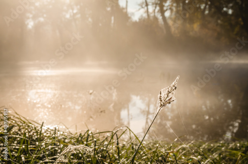 Novi Sad, Serbia - October 22, 2015: A small natural lake near the city of Novi Sad. The shore of the lake, covered with the first morning mist.