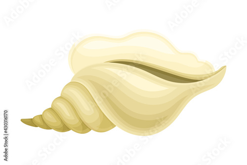 Seashell as Hard Marine Snail Shell Vector Illustration