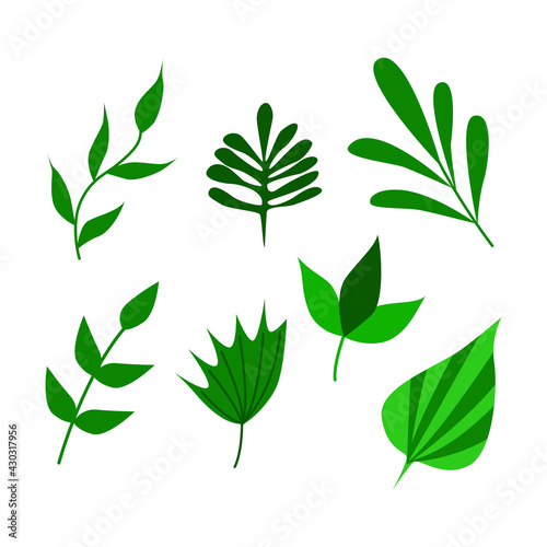 A set of green twigs and leaves. Isolated on a white background. Vector illustration