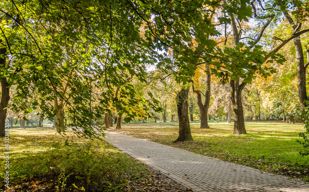 City park in Novi Sad in the autumn period of the year. 