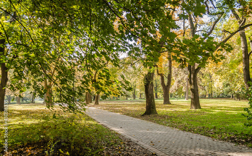City park in Novi Sad in the autumn period of the year.  Walking trail among autumn trees in one of the parks of the city of Novi Sad - Serbia 