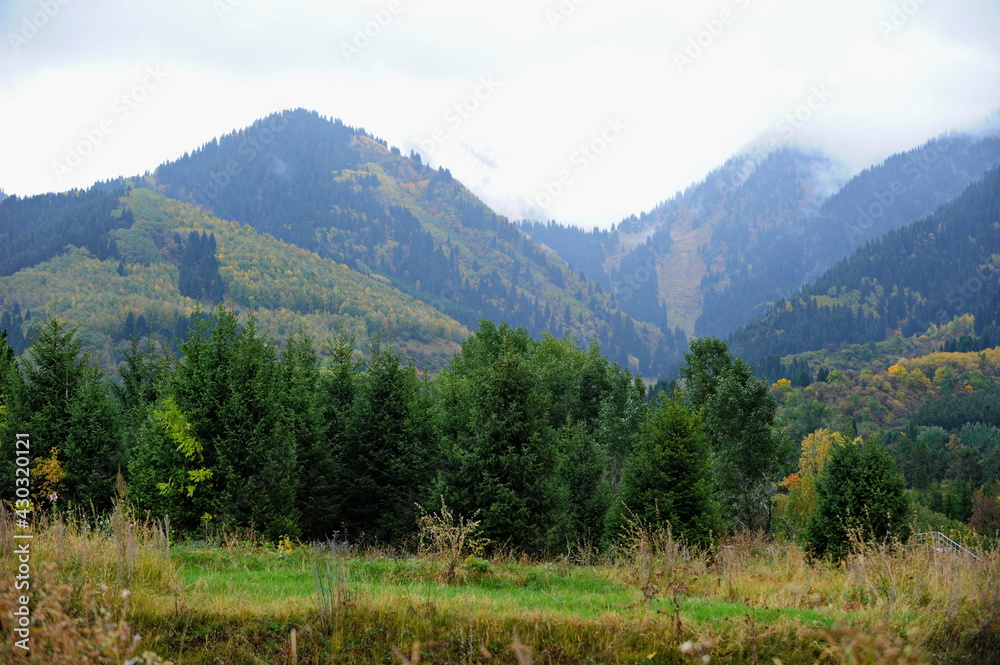 Mountainous area near the city of Almaty with different vegetation, trees and fir trees.