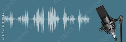 Valokuvatapetti Professional studio microphone with waveform