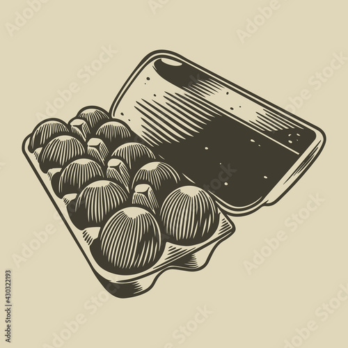 Vector detailed line art pa...