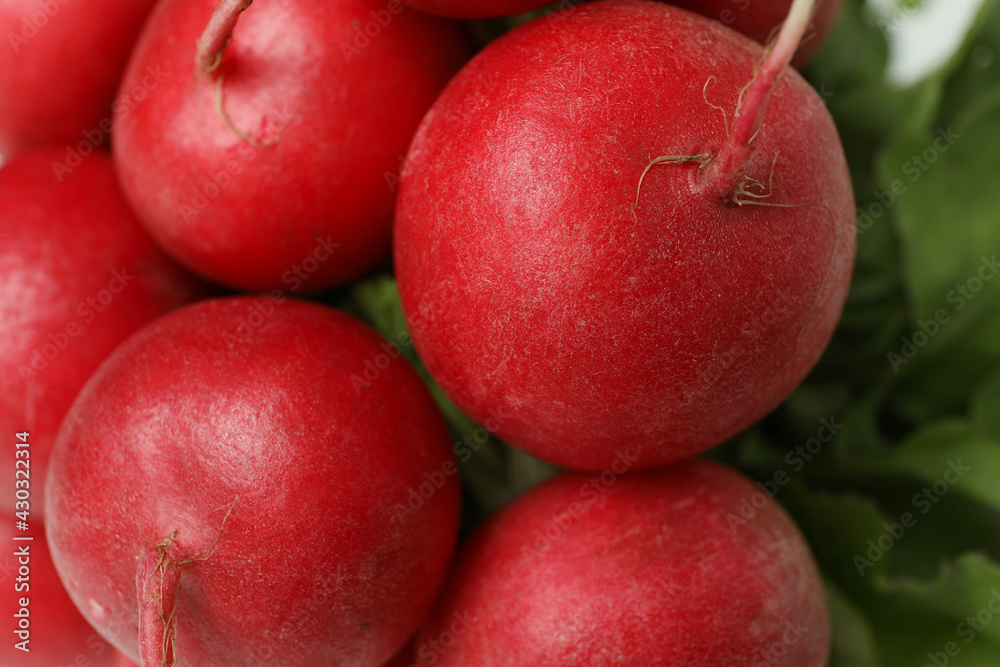 Fresh red radish on whole background, close up